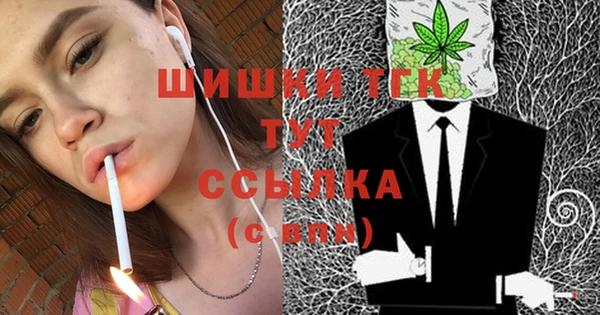apvp Богородицк