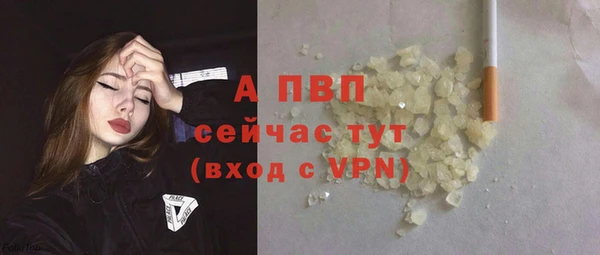 apvp Богородицк