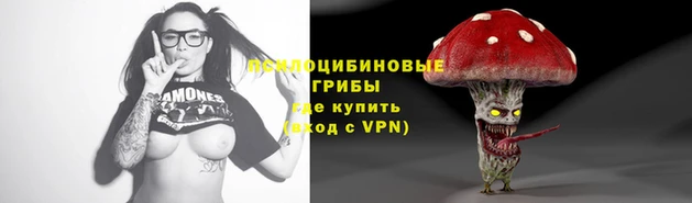 apvp Богородицк