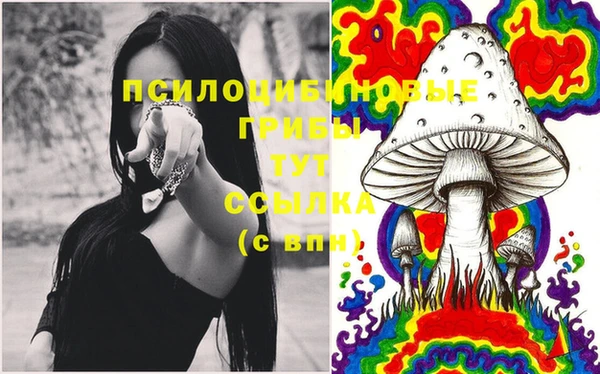 MDMA Premium VHQ Богданович