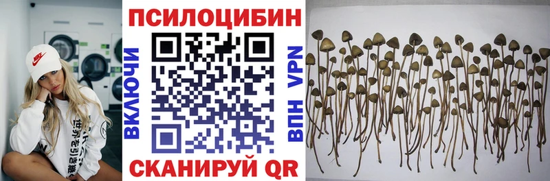 Псилоцибиновые грибы GOLDEN TEACHER  Новотитаровская 